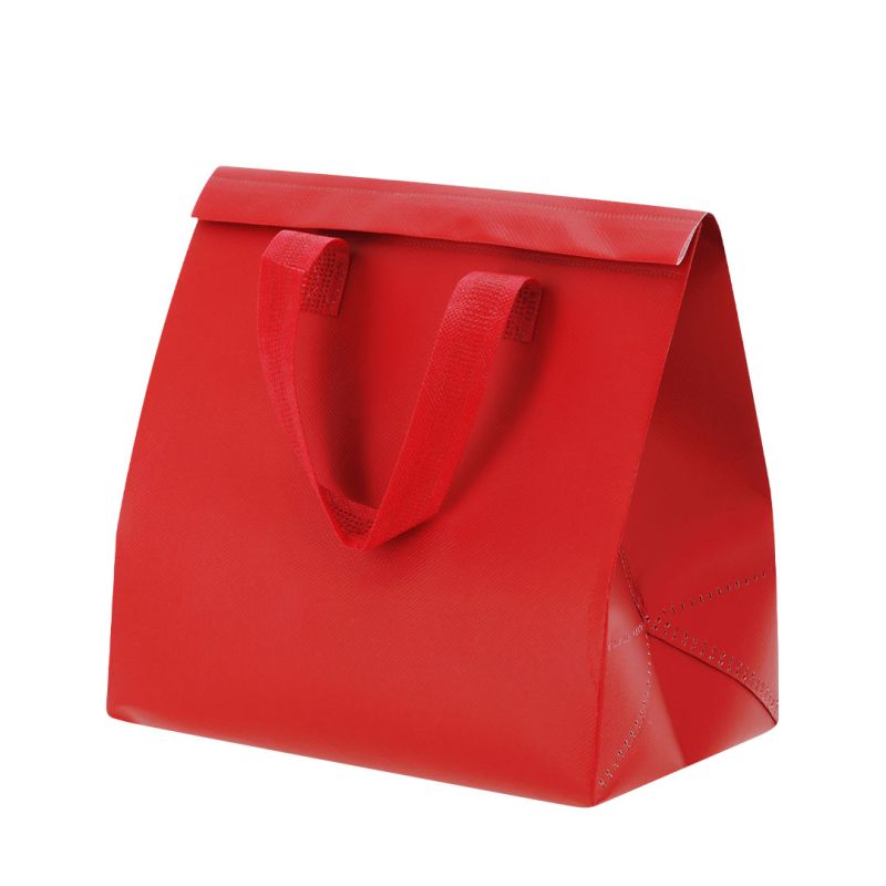 Bolsa Refrigeradora Luzan