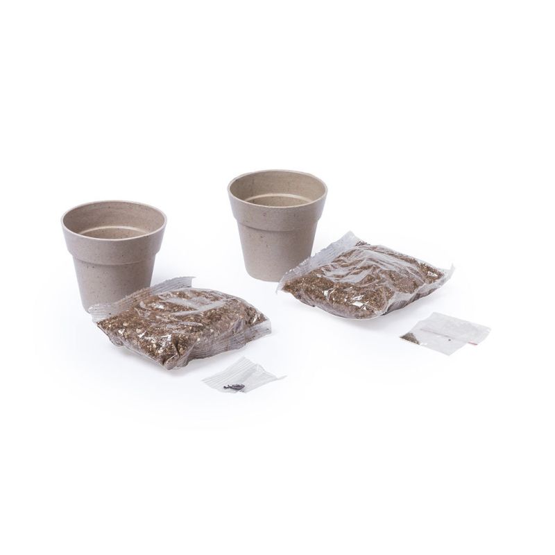 Set de Vasos Nertel