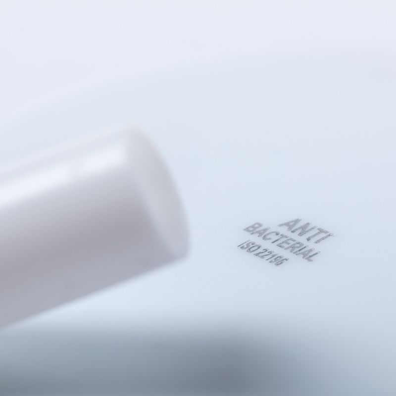Palhinha Antibacteriana Ladix