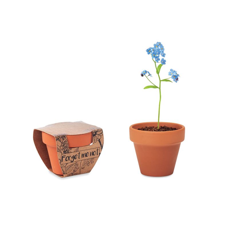 Vaso de terracota 'nomeolvides'