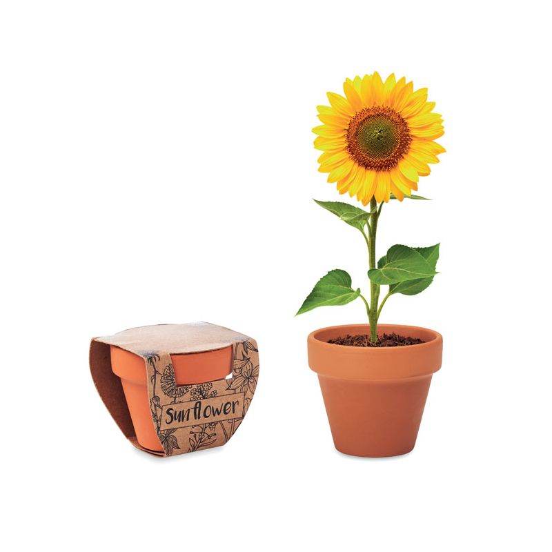 Vaso de terracota 'girasol'