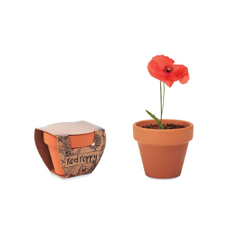 Jarrón de terracota 'amapola'