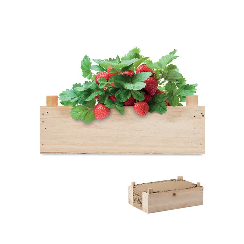 Kit de fresas caja de madera