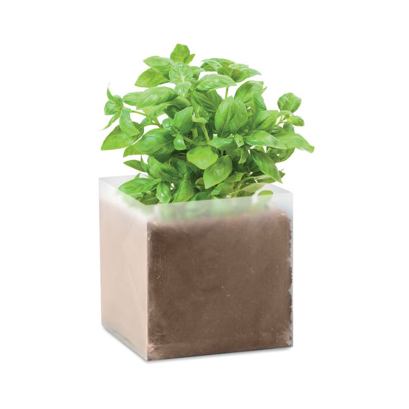 Compost semillas "ALBAHACA"